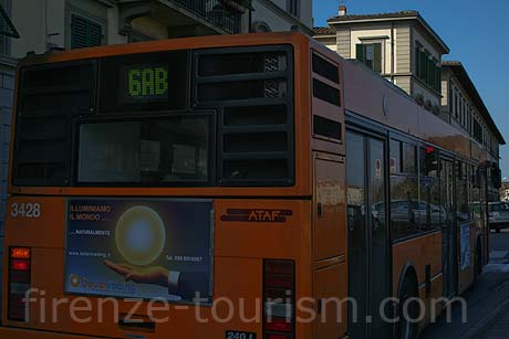 Bus at Florence photo