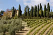 A La Campagne Toscane Près De Florence