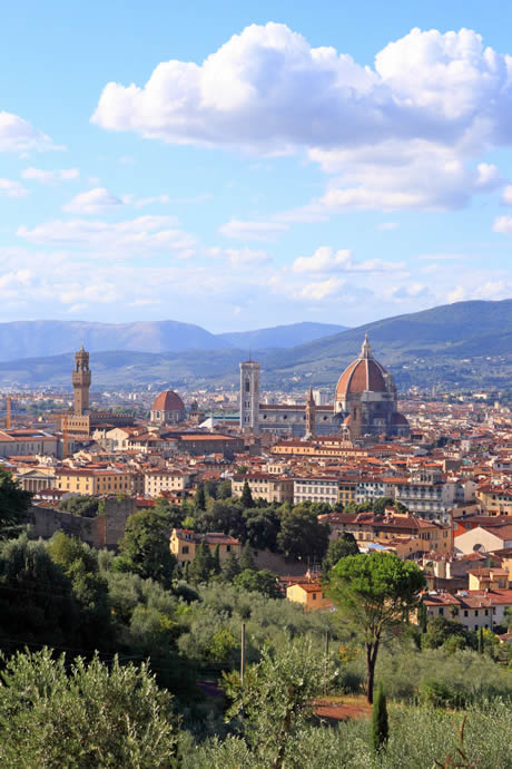 Vu depuis les collines Florence photo