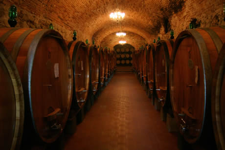 Cantina con botti di vino Chianti vicino Firenze foto