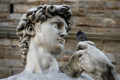 Statuia lui david de michelangelo Florenta foto